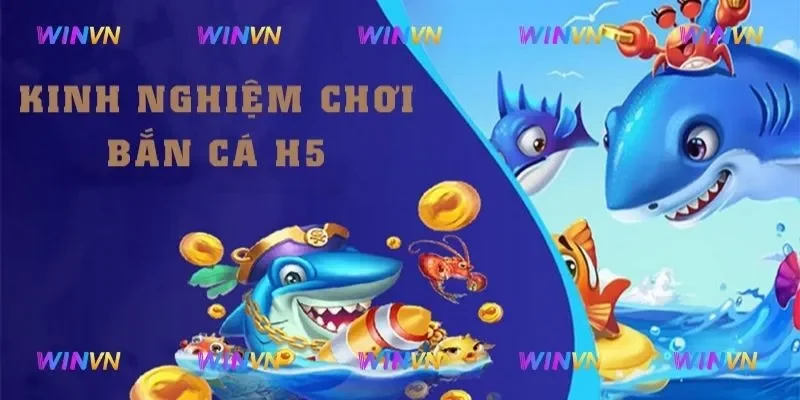 Mẹo chọn phòng săn cá thích hợp